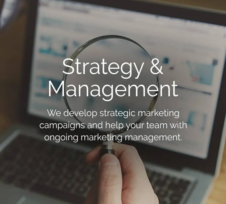 Strategy and management. We develop strategic marketing campaigns and help your team with ongoing marketing management.